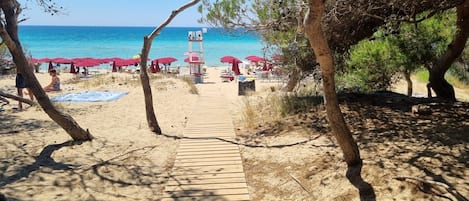 Una playa cerca