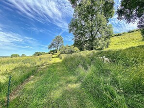 Miscellaneous - The Horse Cart - UK39547 (Clyffe Pypard)
