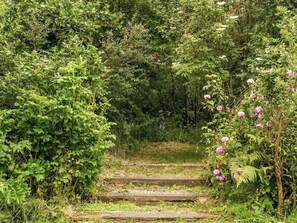 Un sentiero nel giardino, circondato da vegetazione rigogliosa e piante fiorite.