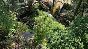 A natural setting with a wooden staircase leading to a beach area, surrounded by dense foliage and a body of water in the background. - Waterfront Cottage on the Upper Rideau Lake (Westport)