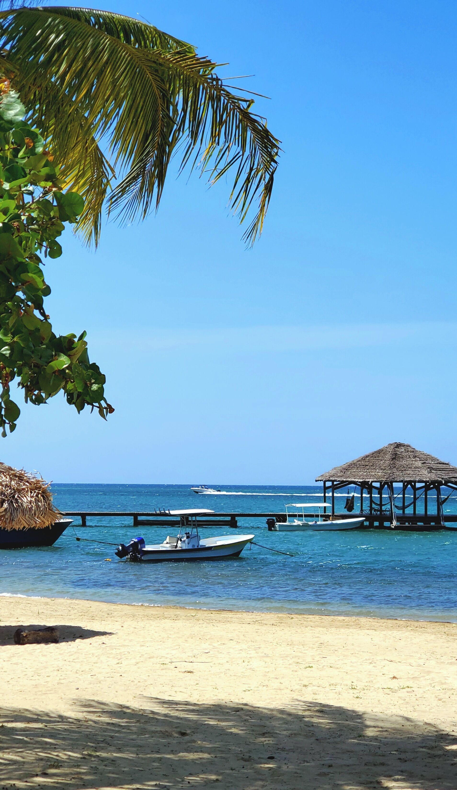 Nær stranden, solsenger og strandhåndklær