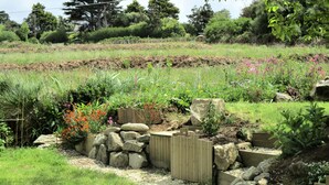 Ein Garten mit Holzzaun, Steinen und verschiedenen Pflanzen.