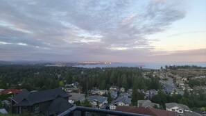 A residential area with houses, a forested hill, and a distant cityscape with a body of water.