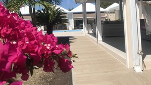 Un espace extérieur abrité avec une piscine, des palmiers et un bâtiment blanc en arrière-plan.