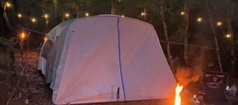 Peaceful campsite -head of Ocala National Forest trails.