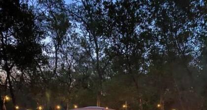 Peaceful campsite -head of Ocala National Forest trails.