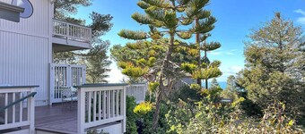 2620 Merlyn Ave.   Lodge Hill