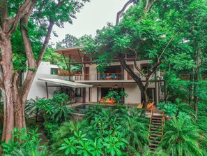 A modern two-story house surrounded by lush greenery.