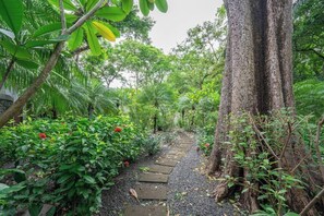 Un sendero serpentea por un jardín exuberante, lleno de plantas diversas y un tronco de árbol imponente.