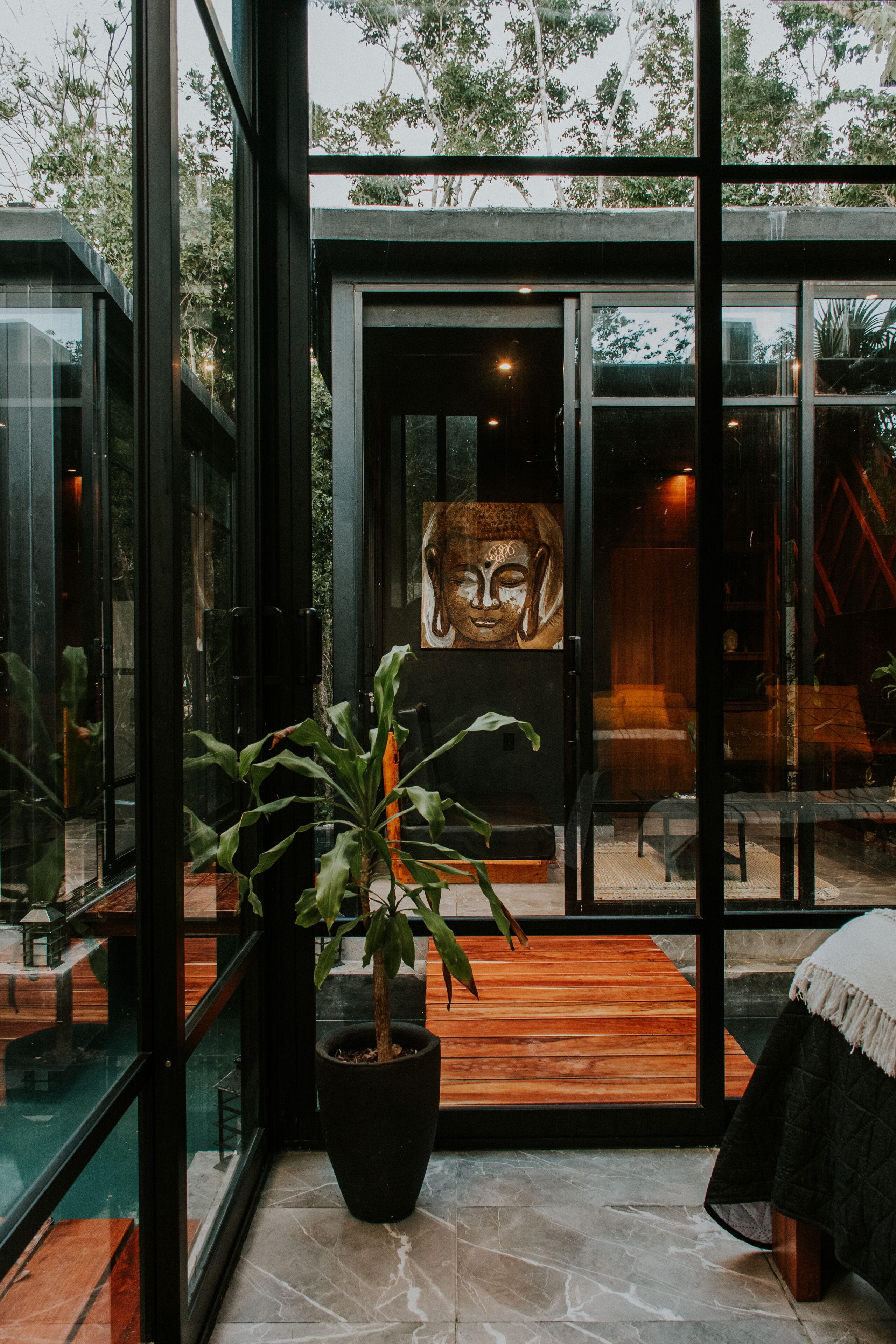 A modern interior with large glass windows, a potted plant, and a wooden deck.