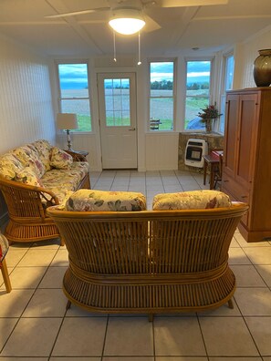 Smart TV, DVD player, books, video library