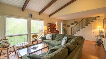 Smart TV, fireplace, books, music library