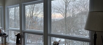 Modern cabin nestled in the trees - the Sugar cube