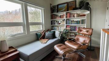 Smart TV, fireplace, books, music library