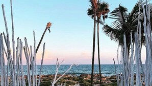 En träpromenad som leder till en strand med palmer och utsikt över havet.