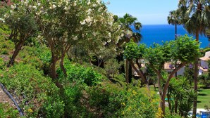 Un giardino rigoglioso con diverse alberi e arbusti, un cielo azzurro limpido e vista sull'oceano.