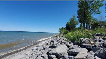 Plage à proximité, chaises longues, serviettes de plage