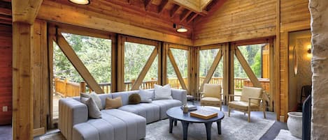 TV, fireplace, ping pong, books