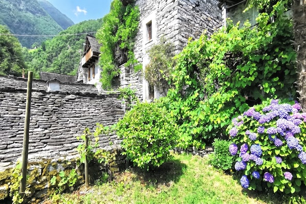 A stone building with a rustic appearance, surrounded by lush greenery and a small bush with purple flowers.