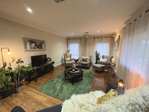 Smart TV, fireplace, books