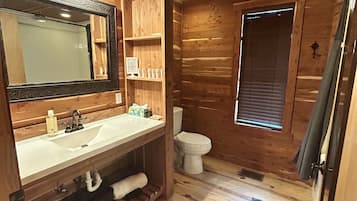 Combined shower/tub, jetted tub, hair dryer, towels
