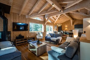 Smart-TV, Kamin