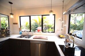 Fridge, oven, stovetop, dishwasher