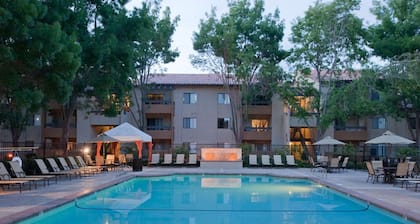 Serene Mountain View 1BR w/ W/D, Pool & Gym, near Safeway, by Blueground