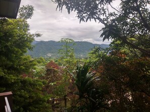 الإطلالة من المنشأة