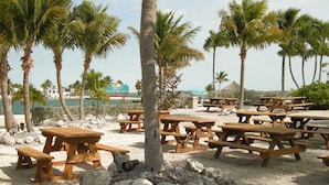 A beachside area with wooden picnic tables and palm trees.