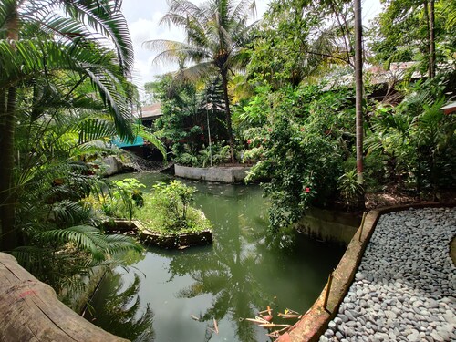 Palm Grove Eco Resort