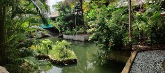 Palm Grove Eco Resort