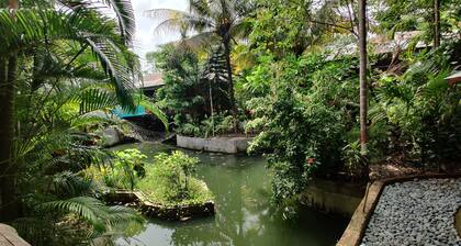 Palm Grove Eco Resort