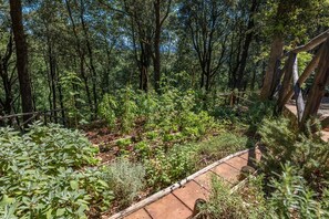 Villa | 3 camere