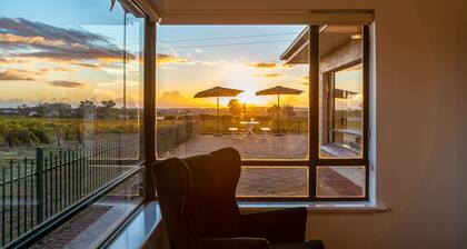 McGill Vineyard Barossa