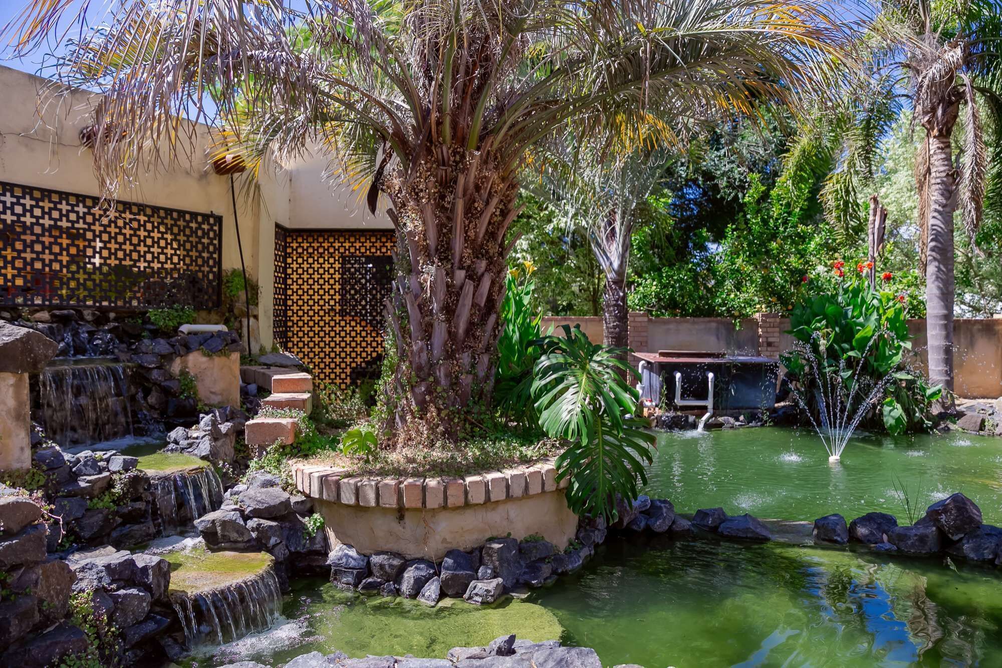 5 Bedroom home with an amazing back yard including a pool and large Koi ponds