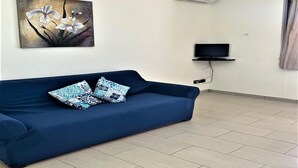 Una sala de estar con un sofá azul, dos almohadas estampadas, un cuadro de flores, un televisor montado y un aire acondicionado en la pared.