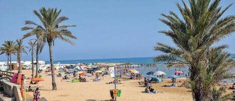 On the beach, sun-loungers