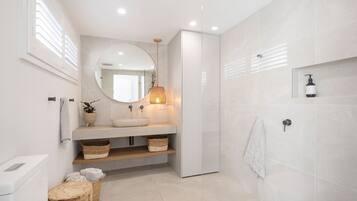 Shower, hair dryer, towels