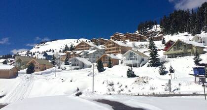 Cozy Chalet with Wood Stove, Free Unlimited WIFI, Garage - Hameau de Flaine, 74300 France