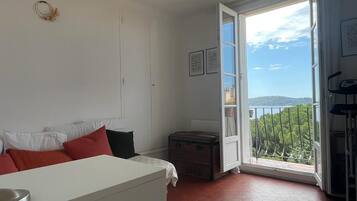 Televisie, een dvd-speler, boeken en een stereo