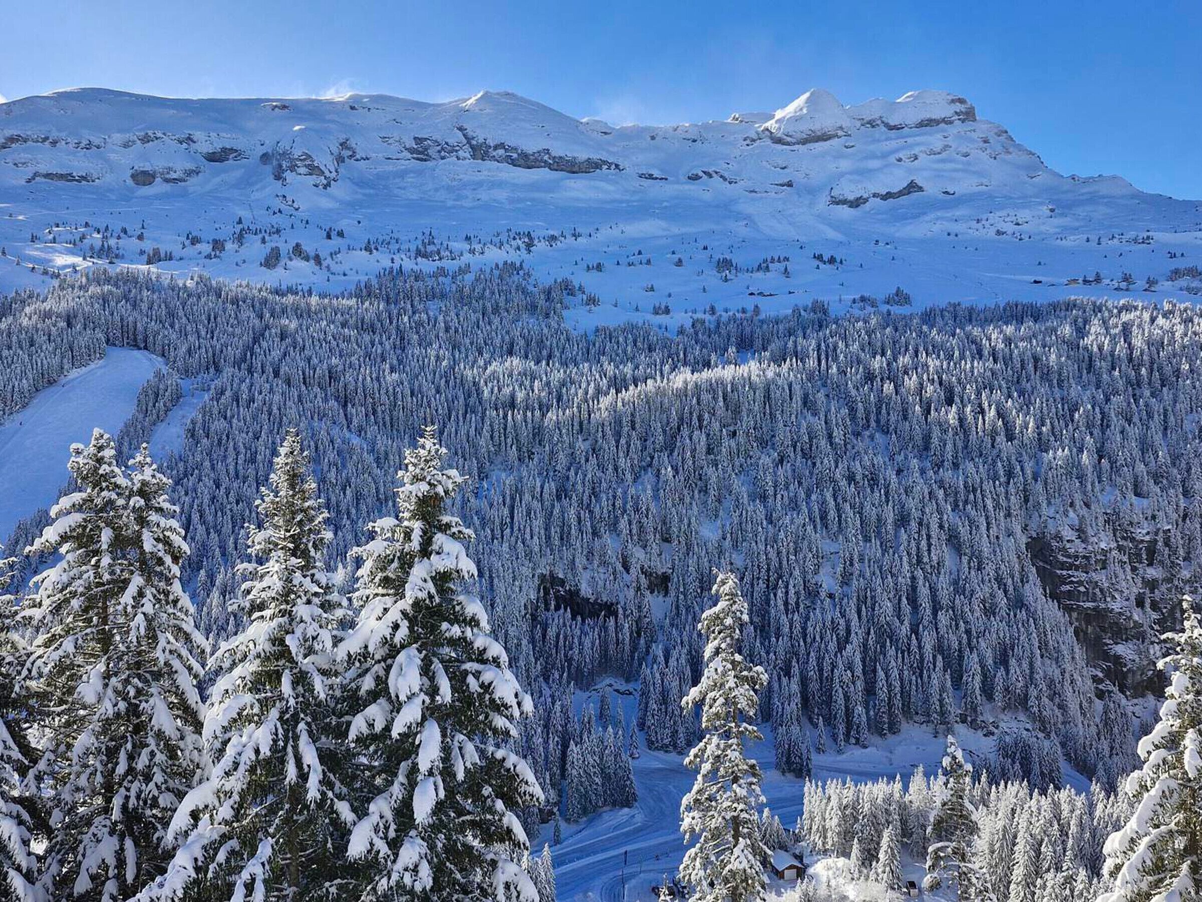 A snow-covered mountain landscape with dense forests and a clear sky.