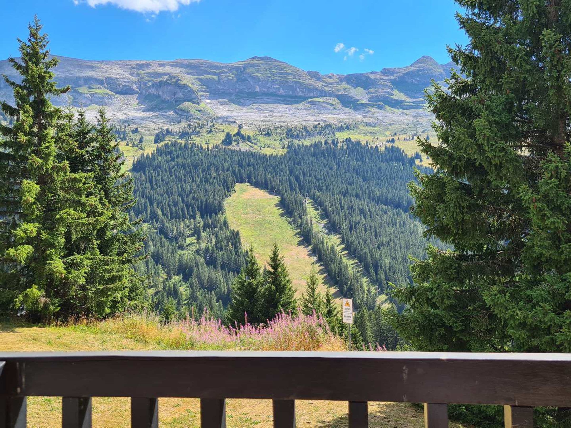 A scenic view from a wooden deck overlooking a forested valley with distant mountains.