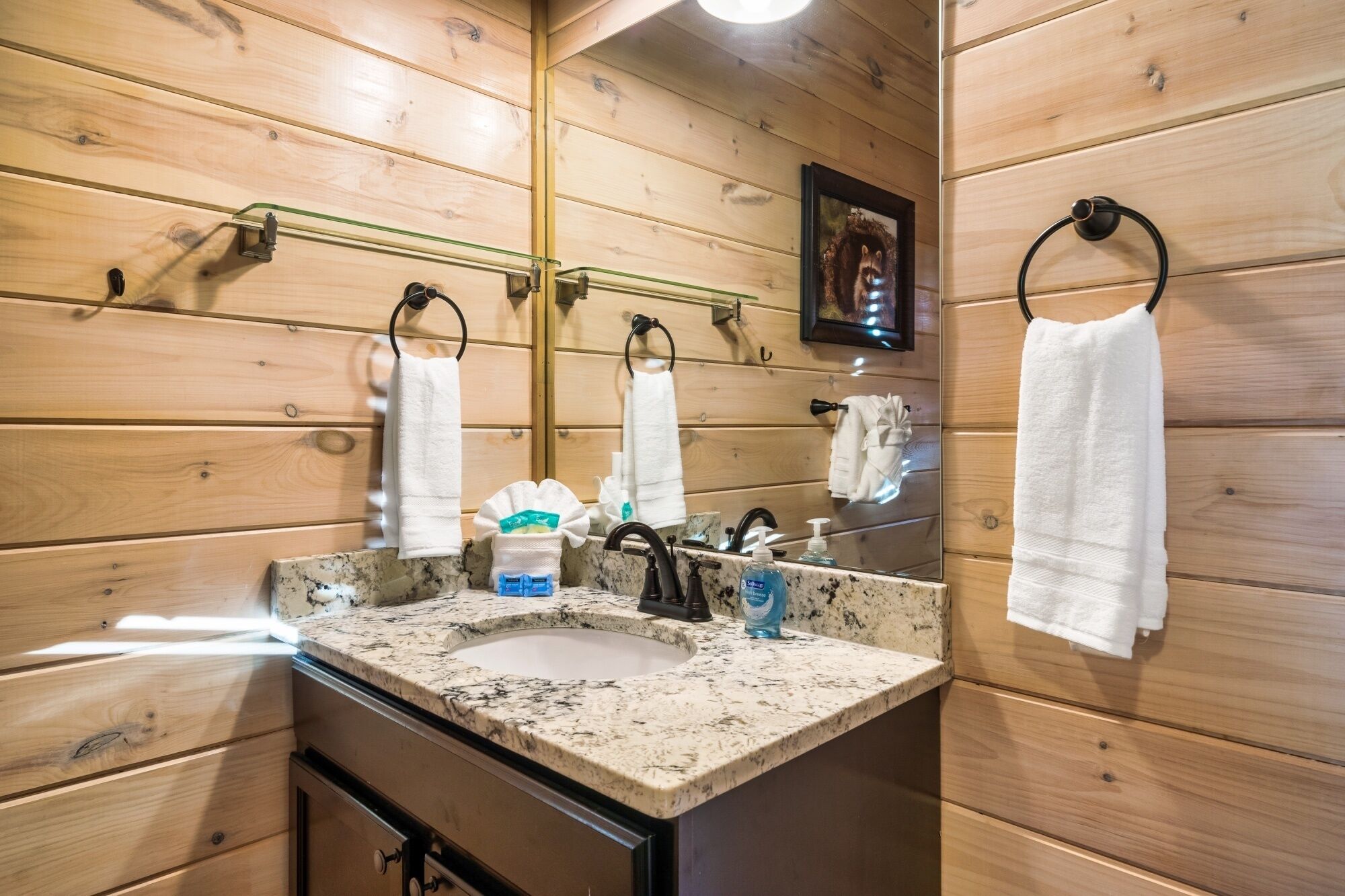 A wooden cabin-style bathroom with a granite countertop, a sink, a mirror, and two towel rings.