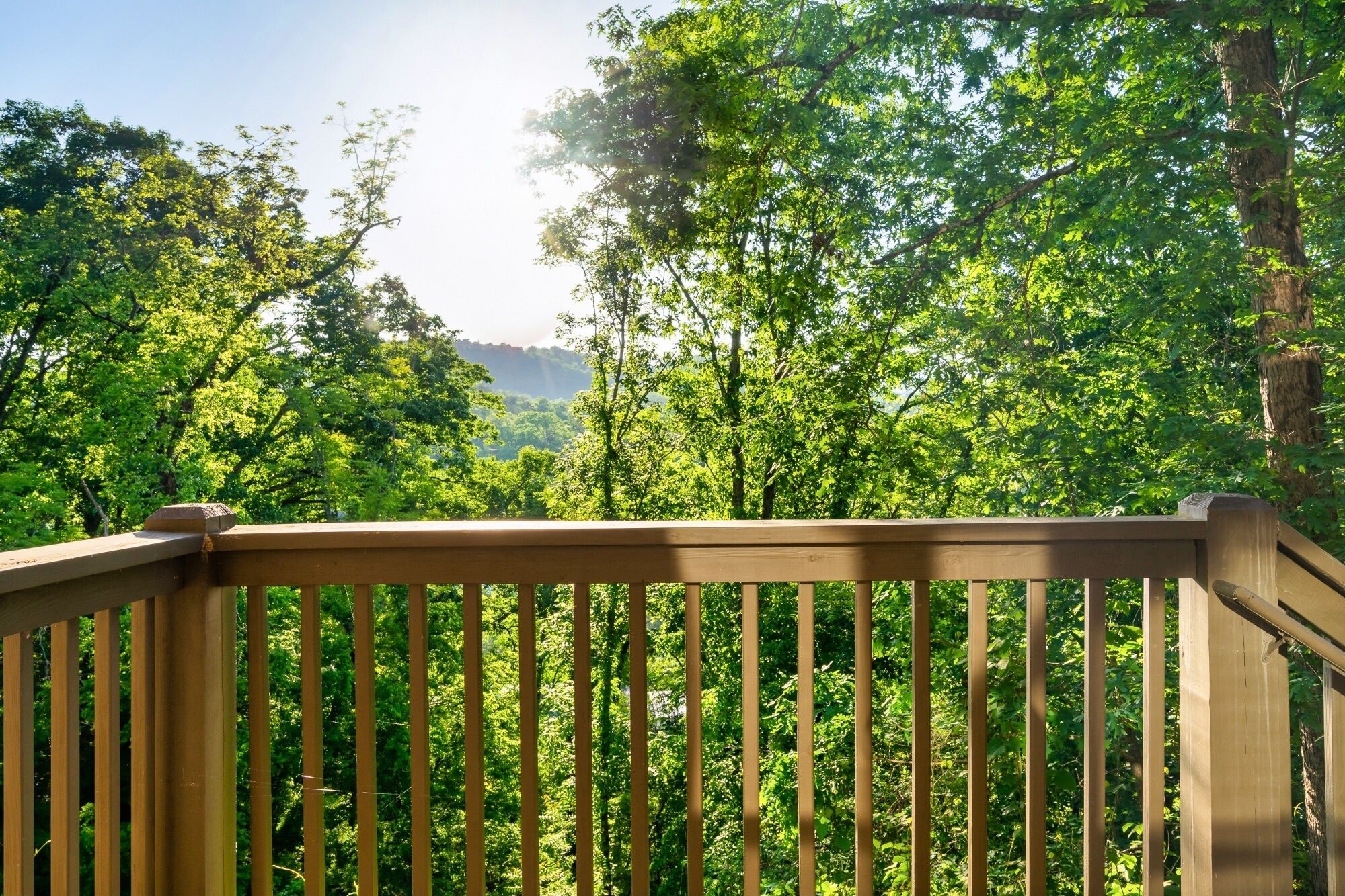 Une terrasse en bois offrant une vue sur une forêt dense.