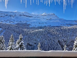 Miscellaneous - Spacious 3-room apartment • Pets allowed • Optional parking • South balcony (Flaine)