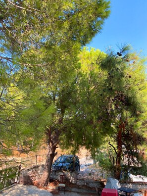 Vista desde la habitación