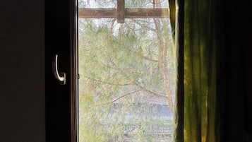 Classic Double or Twin Room, Private Bathroom | View from room
