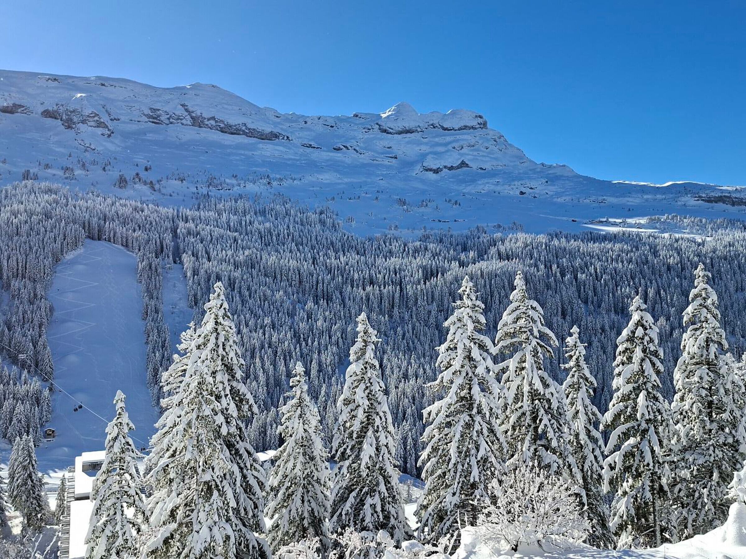 A snowy mountain landscape with a ski lift, dense forest, and a clear sky.