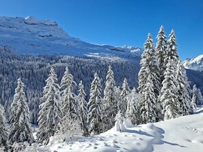 Un paysage montagneux enneigé, avec de vastes forêts et des arbres recouverts de neige.